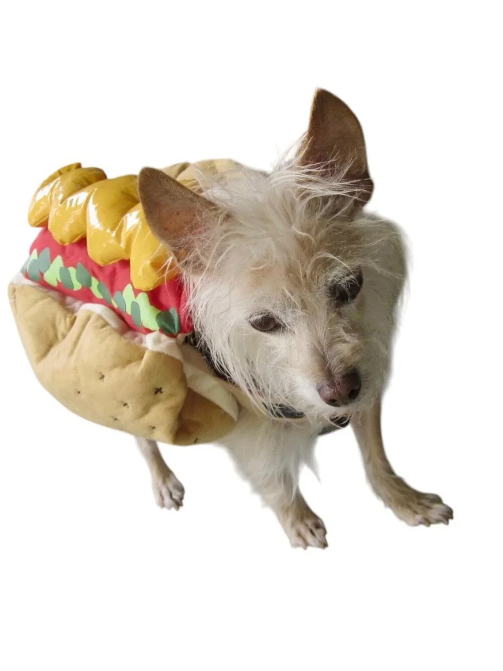 Puppy Dog Costume Hotdog Bun & All the Fixings Dog Size Small Cosplay HALLOWEEN